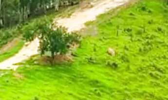 Imagem 2: SEU LOTE A 5 MINUTOS DO CENTRO