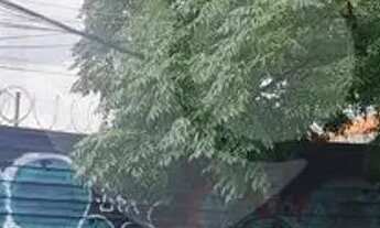 Imagem 5: Terreno à venda em Vila Romana - SP