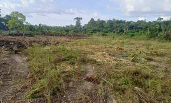 Imagem 3: Vende-se uma chácara na vicinal 5 de Iracema