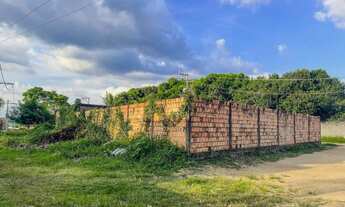 Imagem 4: Terreno no Santa Etelvina 441m² - Manaus - AM