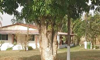 Imagem 7: Vendo lindo Sítio