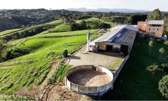 Imagem 2: 52 hectares, Haras de Luxo PR | 29 Cocheiras