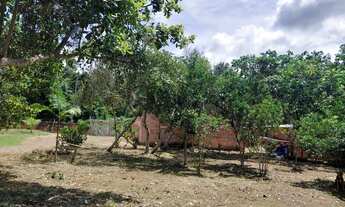 Imagem 6: Vendo terreno no Paricatuba