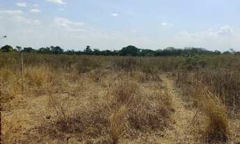 Imagem 3: Vende-se Lote 7,5 Hectares - Irrigado! No Projeto Jaíba MG