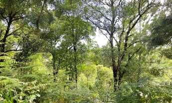 Imagem 3: Área de terra em Gramado