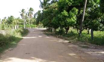 Imagem: Lote a venda no loteamento Mar azul - Paripueira