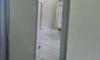 Imagem 4: Alugo apto. 2 quartos Residêncial Calafate 2