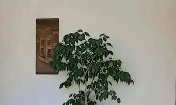 Imagem 2: Casa com 4 dormitórios à venda, 145 m² por R$ 580.000,00 - Vila Progresso - Niterói/RJ