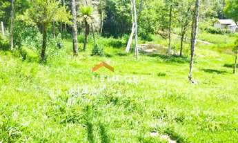 Imagem 5: Chácara em Campo Largo - Pr - Retiro - Retiro Grande/PR