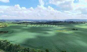 Imagem 3: Terreno à venda em Lapa, Boqueirão, 24000m²
