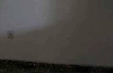 Imagem 4: Casas 2 Casa com 4 dormitórios