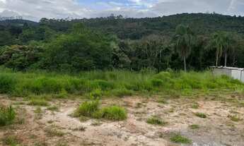 Imagem 6: Terreno em região de crescimento