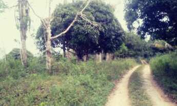 Imagem 5: Vende/troca roça de 18 hectare por casa em ilhéus ou Itabuna ou carro