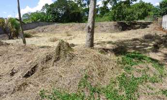 Imagem 3: Ótima chácara, recanto dos Guerreiros, saída para Astorga