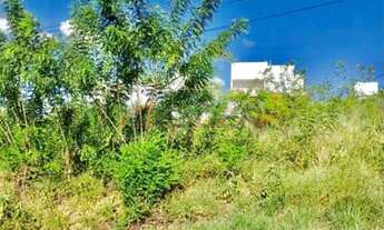 Imagem 2: Vendo Lote no Bairro Alto Marista