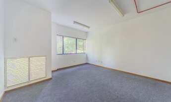 Imagem 6: Excelente sala na Av Carlos Gomes