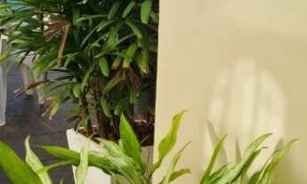 Imagem 7: CASA RESIDENCIAL em IMBITUBA - SC, Centro de Imbituba