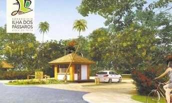 Imagem 4: Ilha dos Passaros lote