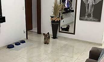 Imagem 2: Ref.: 2284 - Lindo apartamento, próximo do Centro de São Caetano e Avenida Goiás!