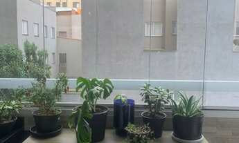 Imagem 6: LINDO APARTAMENTO BAIRRO CAMPESTRE