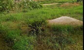 Imagem: Linvalda Soares