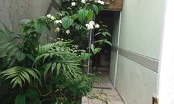 Imagem 5: Santo André - Casa Padrão - Utinga