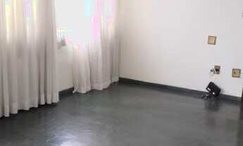 Imagem 3: Vendo apartamento miolo do bairro Cambuí - Campinas - SP