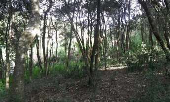 Imagem 7: Terreno Maravilhoso com Vista dos Sonhos!