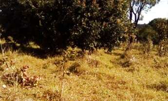 Imagem 3: CHACARA PECUÁRIA. 8,5 HECTARES...JARAGUARI..