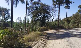 Imagem 7: Terreno com 30000 m² - Próximo a Rampa do Búgio - Bateias de Baixo Campo Alegre - SC