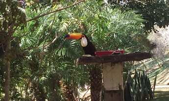 Imagem 6: Lote/Terreno para venda tem 200000 metros quadrados em Itaipava - Petrópolis - RJ