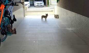 Imagem 4: ALUGO ÓTIMA CASA NO CONDOMÍNIO VILA VERDE