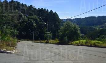 Imagem 4: Caxias Do Sul - Terreno Padrão - Bela Vista