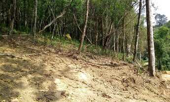 Imagem 3: Terreno 1250 m² excelente localização aclive leve terraplanagem poucas árvores