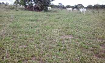 Imagem 7: Fazenda Região Serra São Vicente - MT