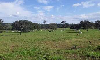 Imagem 3: FAZENDA À VENDA EM GOIANORTE - TO - 759,88 HECTARES (DUPLA APTIDÃO