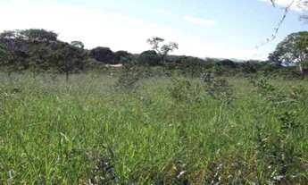 Imagem: Chácara 1.00m² para morar ou investir