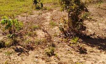 Imagem 2: Chácara em Pirenópolis