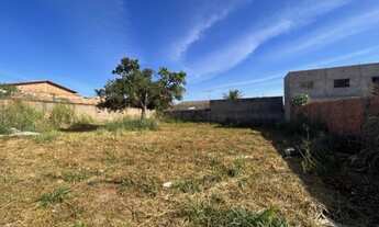 Imagem 4: Dois Lotes para venda com 300m2 cada, murados, em Residencial Alice Barbosa - Goiânia - GO