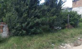 Imagem 5: Lote/Terreno para venda com 480 metros quadrados em Cecília - Viamão - RS