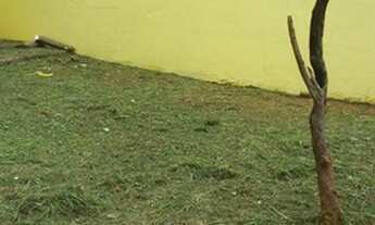 Imagem 6: Sobrado Jardim Santa Genebra - 3 dorm ( sendo 1 suite).