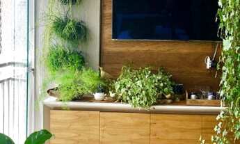 Imagem 6: SãO BERNARDO DO CAMPO - Padrão - Centro