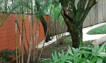 Imagem 5: SOBRADO - MORUMBI - SP