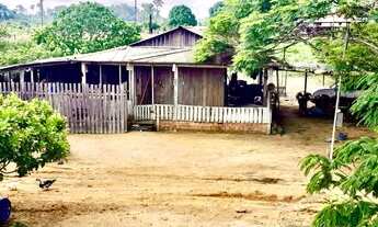 Imagem: VENDO EXCELENTE SITIO