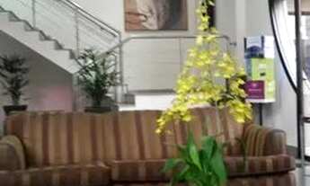 Imagem 4: FLAT - PARAÍSO - SP