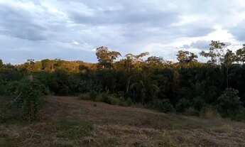 Imagem 6: Vendo terreno no Apolônio Sales mede 12por 35