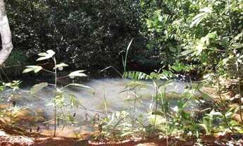 Imagem 3: Chácara de 1.700m² poço de peixe, toda cercada, São Jose do Almeida (Temos varias opções)
