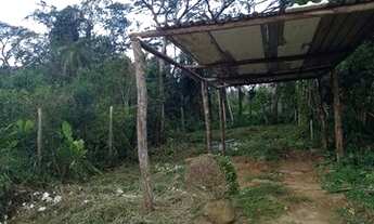 Imagem 2: Vendo terreno na folha seca Ubatuba