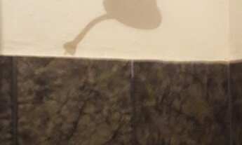 Imagem 7: Aluga-se Kitnet na Q. 310 - Recanto das Emas