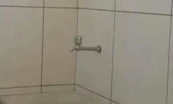 Imagem 5: Aluga-se Apartamento com 2 dormitórios